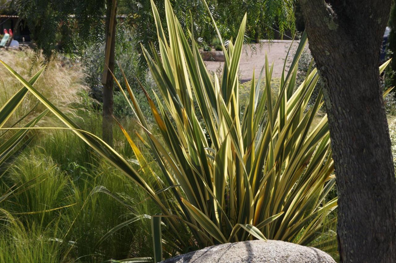 Les Jardins De Santa Giulia - Charmante Chambre D'Hote Порто-Веккьо Экстерьер фото